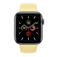 Apple Watch Series 5 40mm GPS+4G